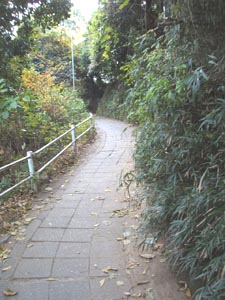 鎌倉の小道